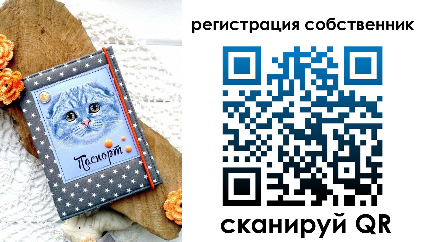 прописка для работы в Пласте